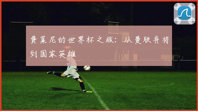 费莱尼的世界杯之旅：从曼联弃将到国家英雄