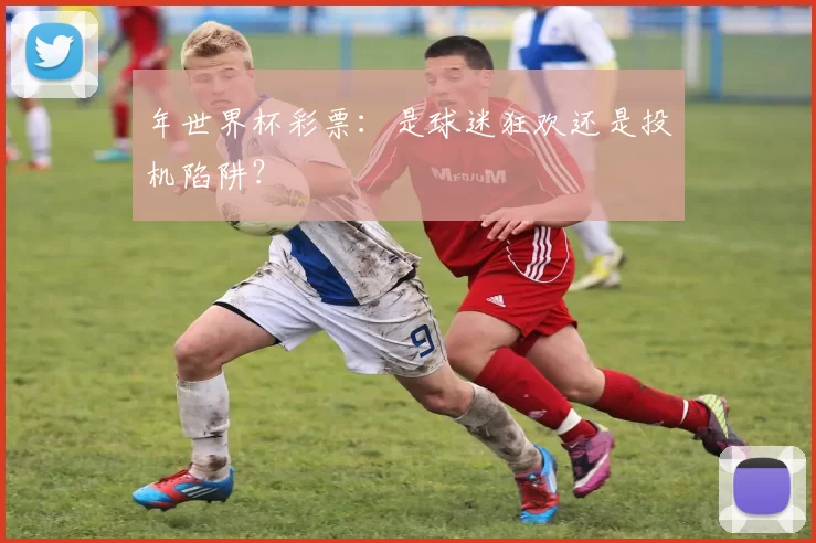 年世界杯彩票：是球迷狂欢还是投机陷阱？