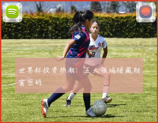 世界杯投资热潮：五大领域暗藏财富密码