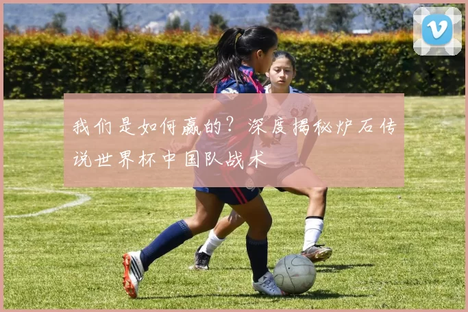 我们是如何赢的？深度揭秘炉石传说世界杯中国队战术