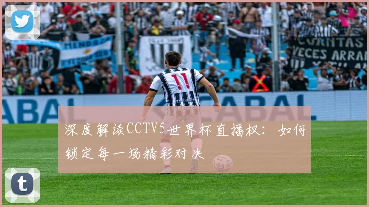 深度解读CCTV5世界杯直播权:如何锁定每一场精彩对决