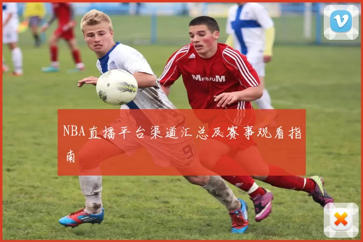 NBA直播平台渠道汇总及赛事观看指南