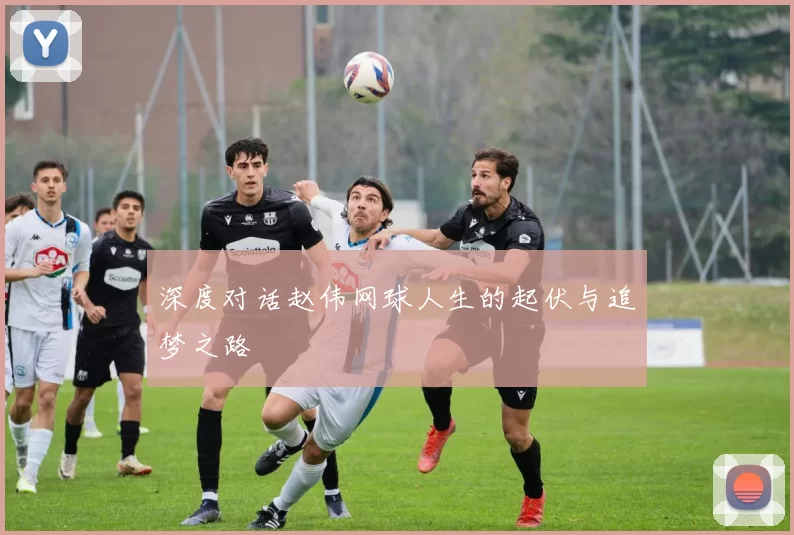 深度对话赵伟网球人生的起伏与追梦之路