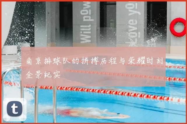 南京排球队的拼搏历程与荣耀时刻全景纪实