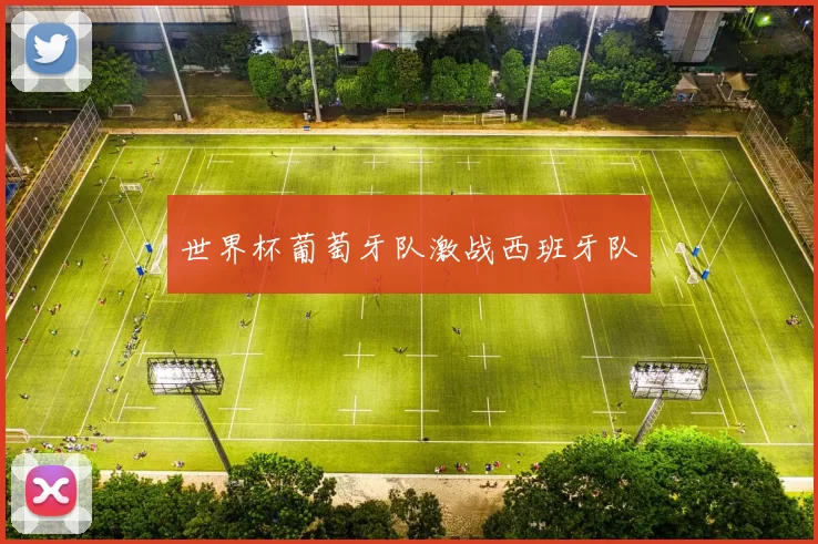 世界杯葡萄牙队激战西班牙队