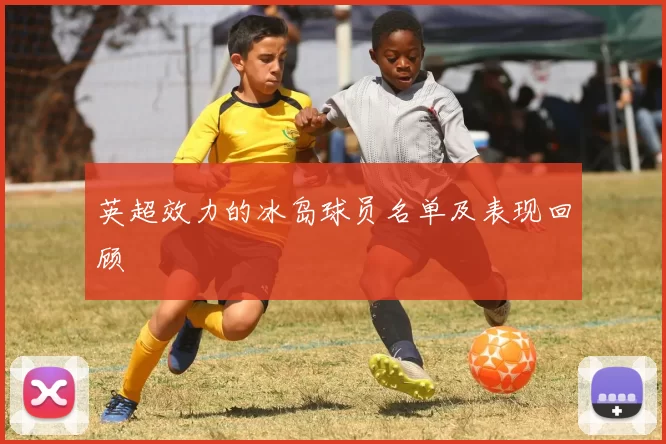 英超效力的冰岛球员名单及表现回顾