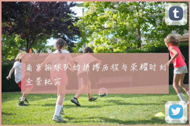 南京排球队的拼搏历程与荣耀时刻全景纪实