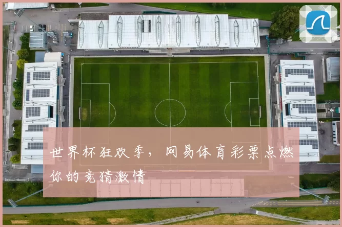 世界杯狂欢季，网易体育彩票点燃你的竞猜激情