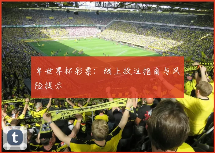 年世界杯彩票：线上投注指南与风险提示