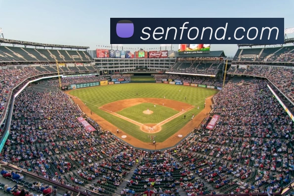 九游体育平台生态图