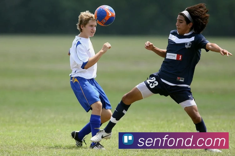 九游体育APP 高清赛事图